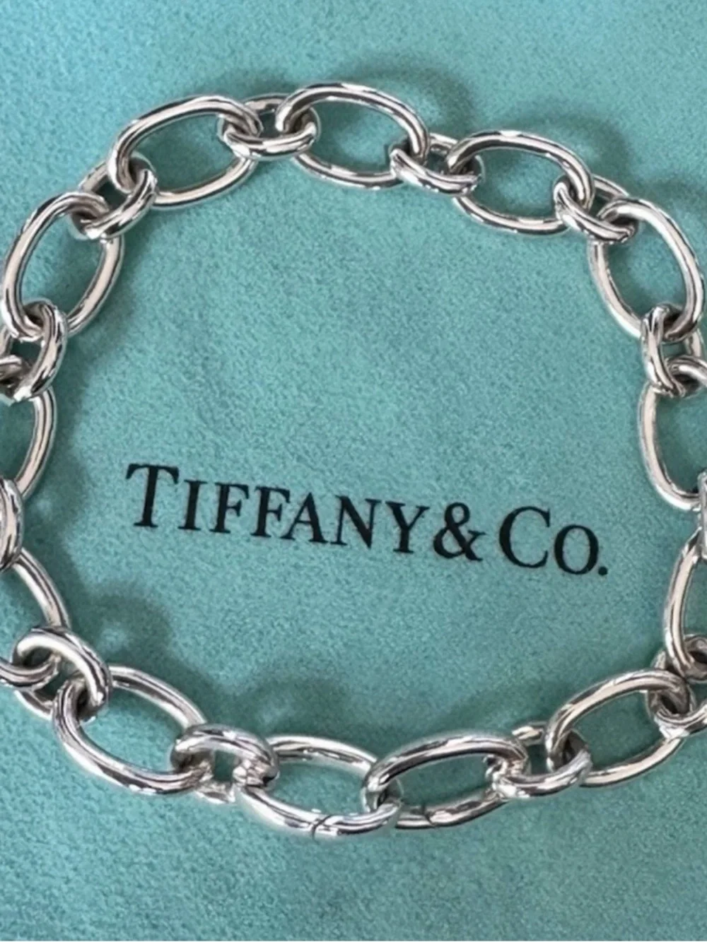 Tiffany & Co Italy 925 Sterling Oval Link 7.5” Clasp Ends - Picture 2 of 12